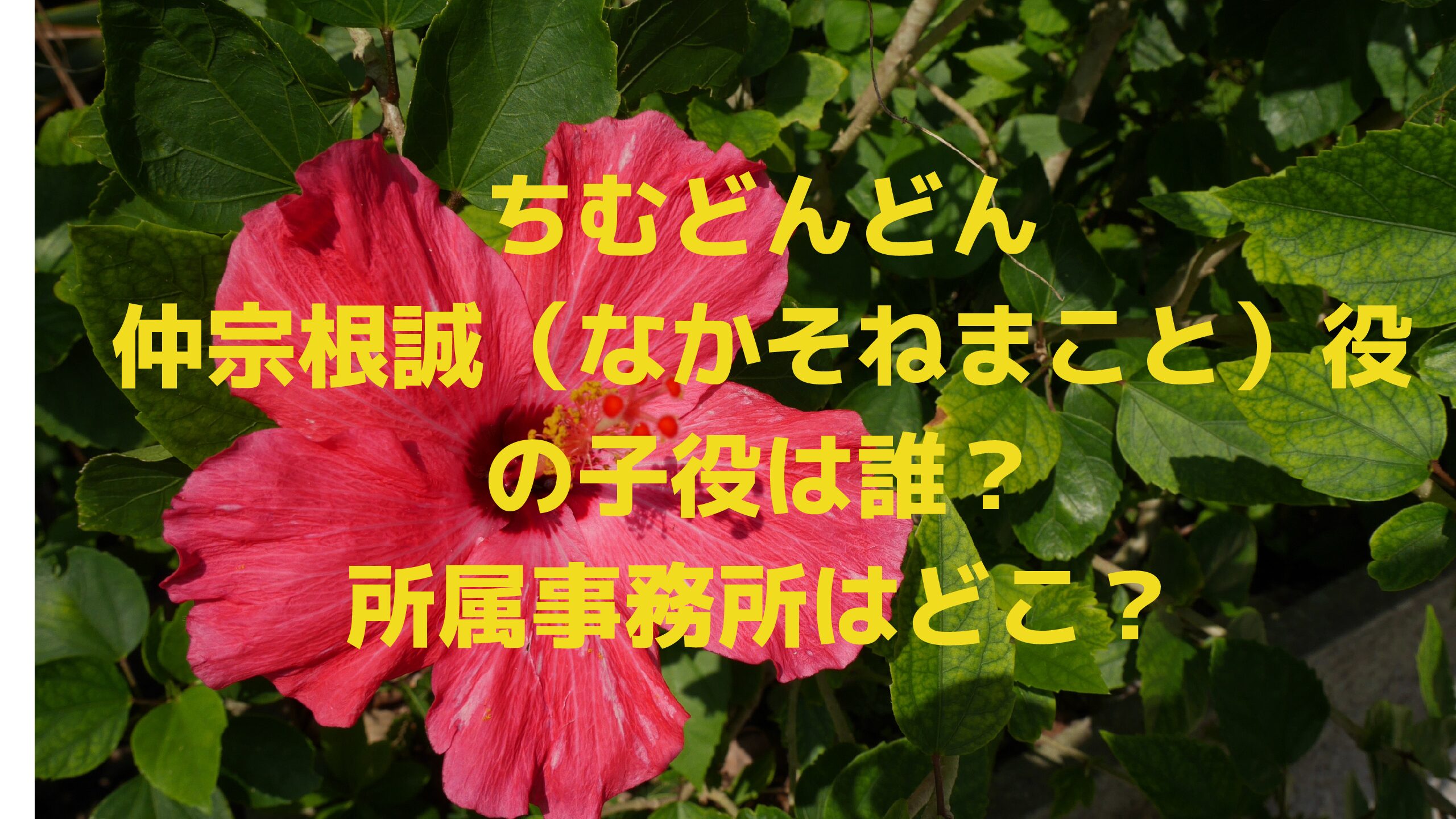 ちむどんどん仲宗根誠 なかそねまこと 役の子役は誰 所属事務所はどこ エコのmamaブログ