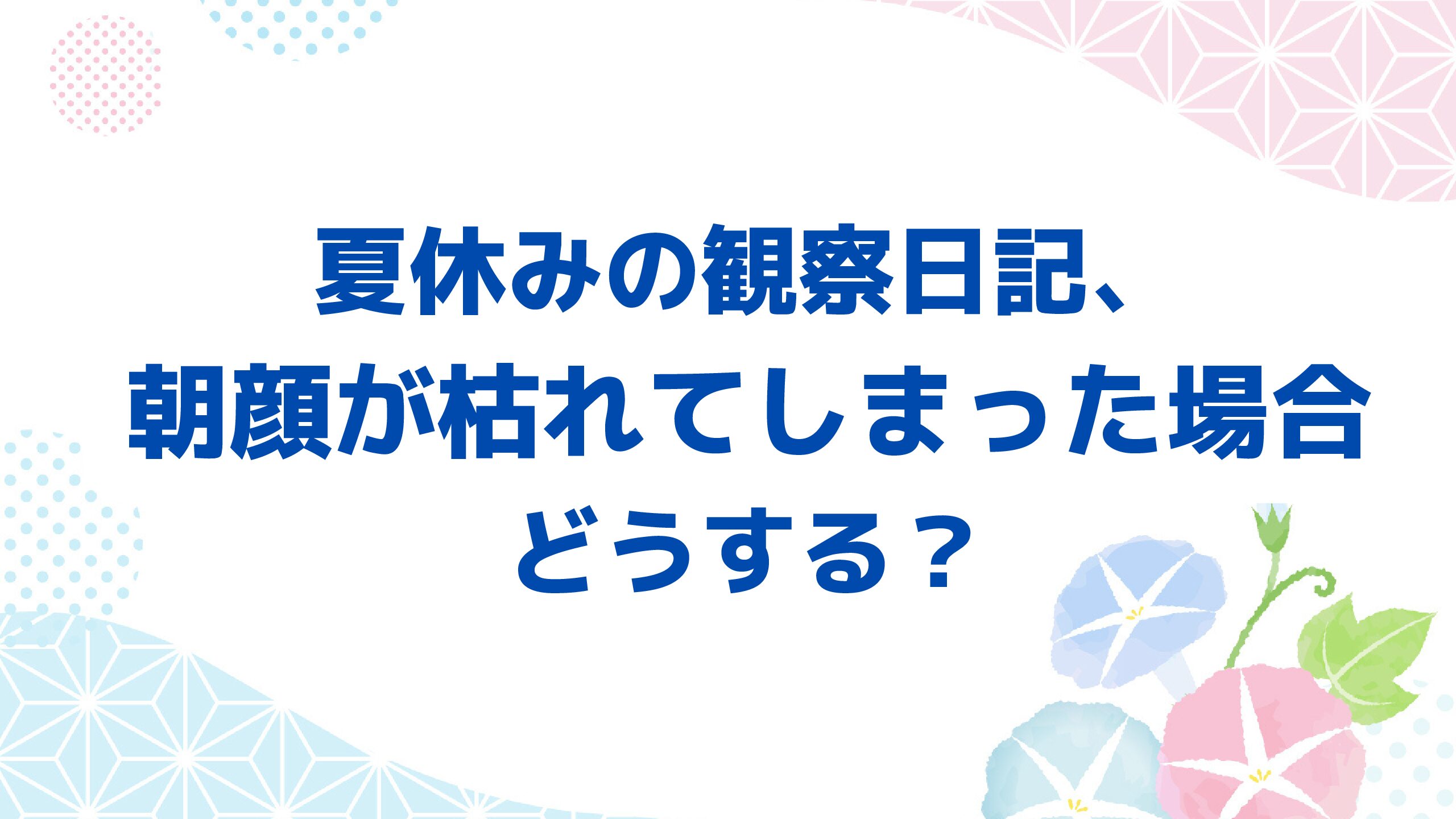 夏休みの観察日記 朝顔が枯れてしまった場合どうする エコのmamaブログ