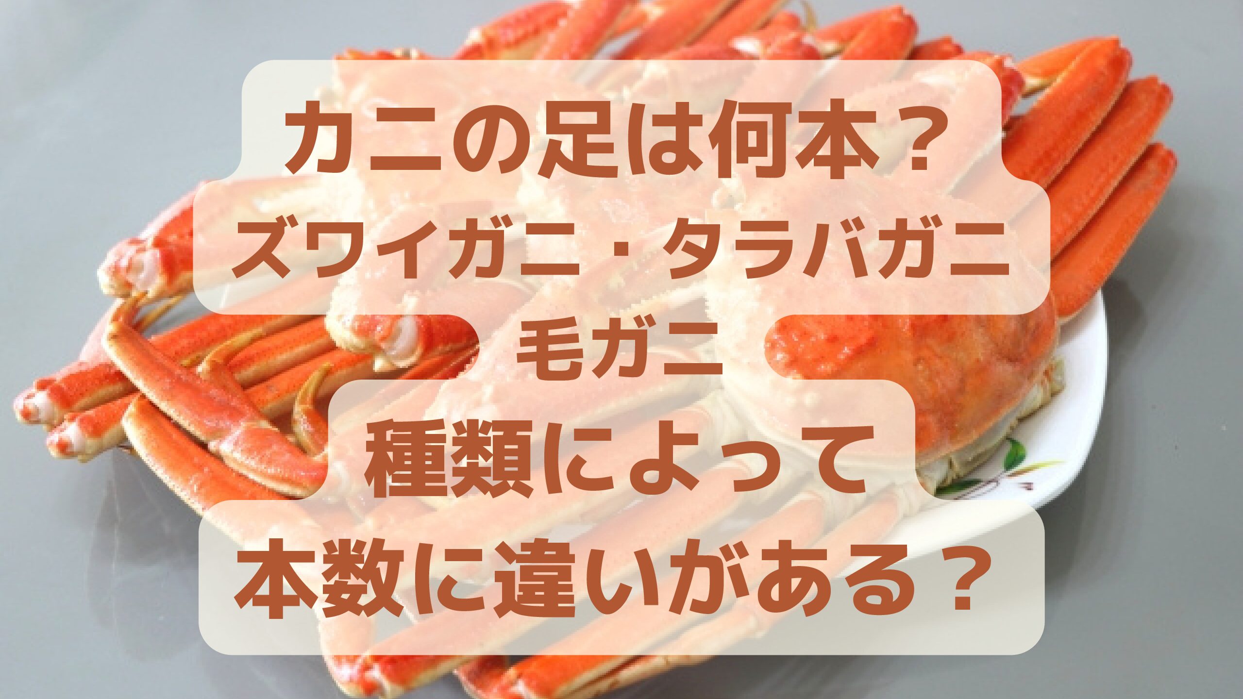 カニの足は何本 ズワイガニ タラバガニ 毛ガニ種類によって本数に違いがある エコのmamaブログ