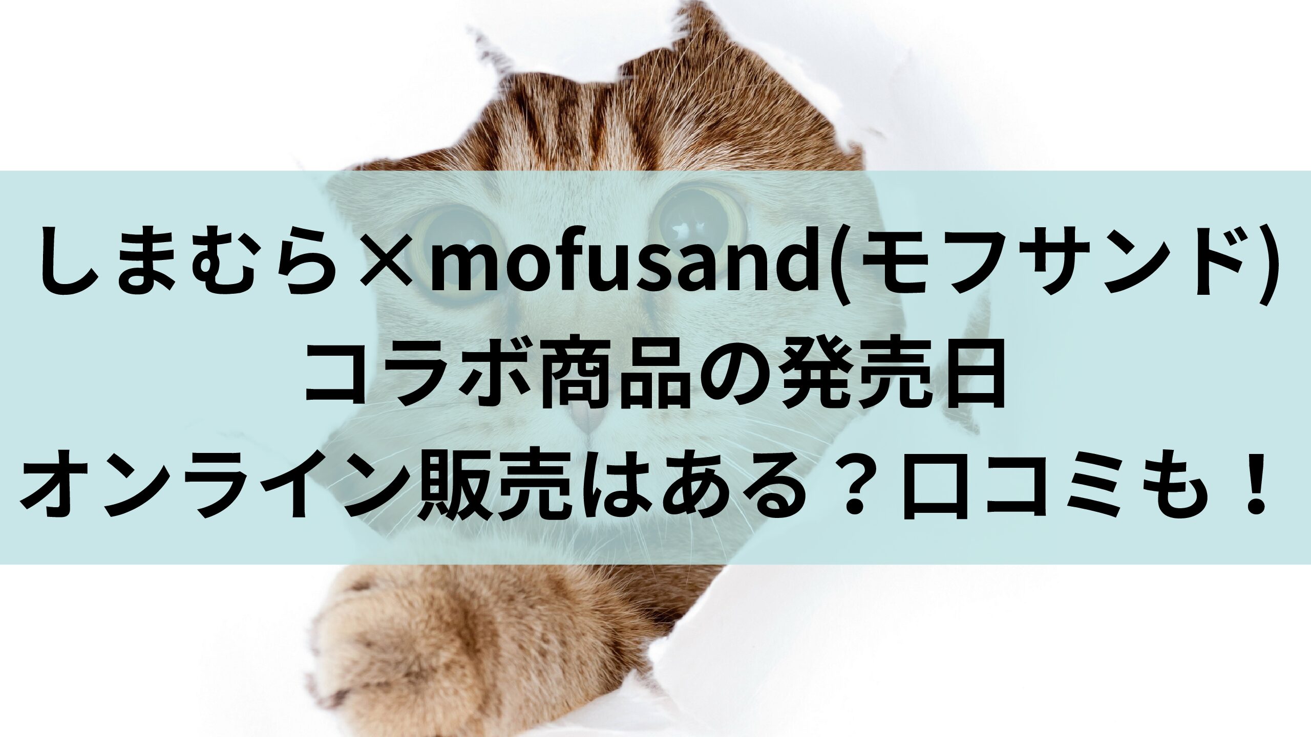 しまむら Mofusand モフサンド のコラボ商品の発売日はいつ オンライン販売はある 口コミも エコのmamaブログ
